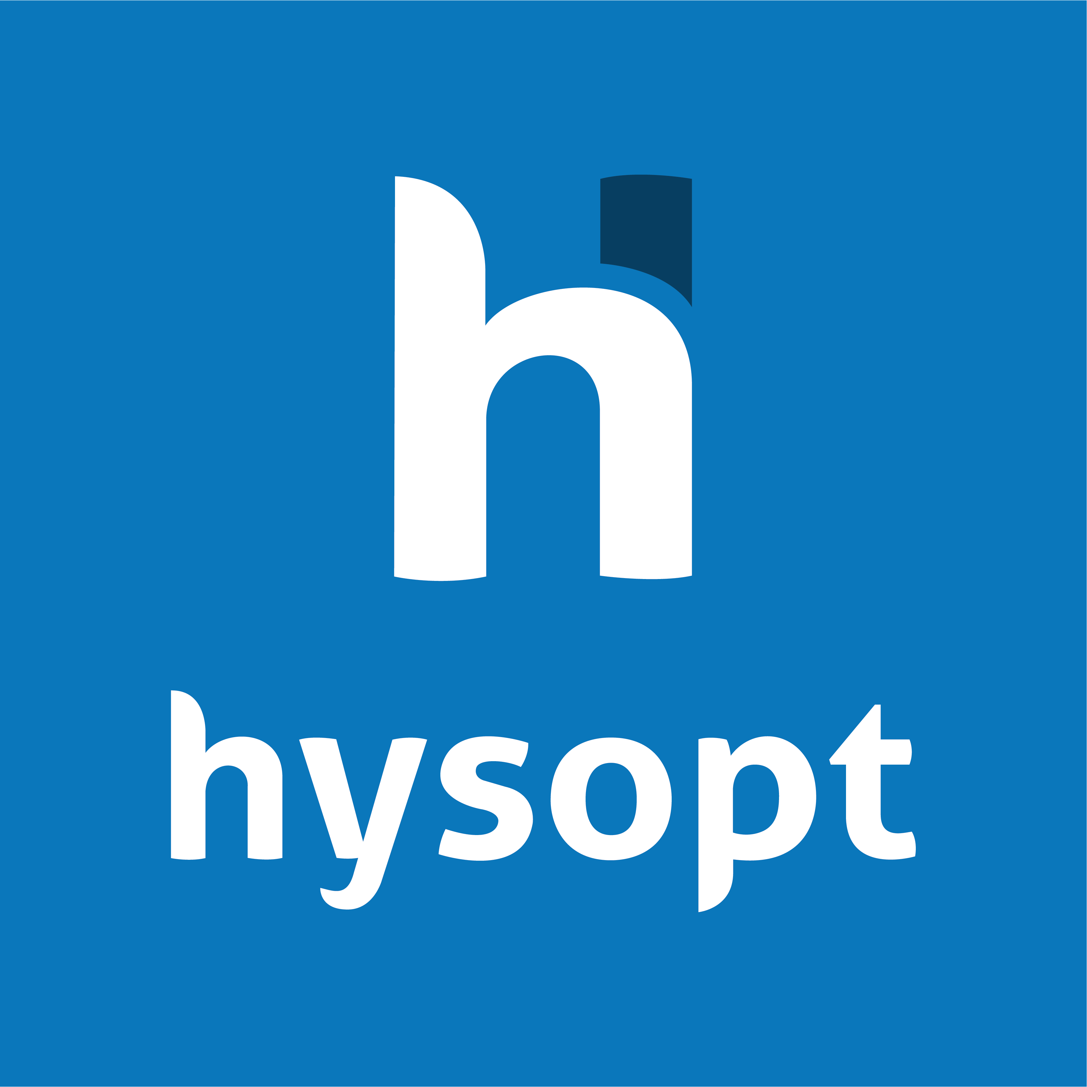 Logo-Hysopt